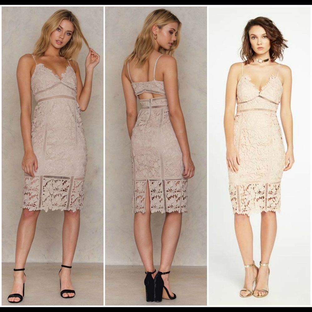 Bardot Blush Lace Midi Dress